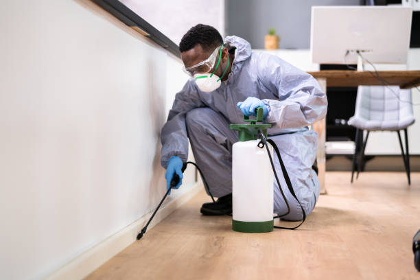 Best Pest Control for Multi-Family Homes  in Warwick, RI